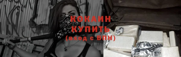 мет Инсар