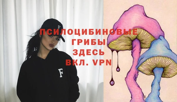 мет Инсар