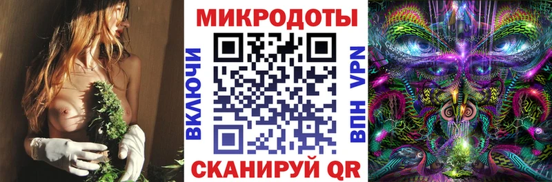 Псилоцибиновые грибы Magic Shrooms  продажа наркотиков  Курчалой 