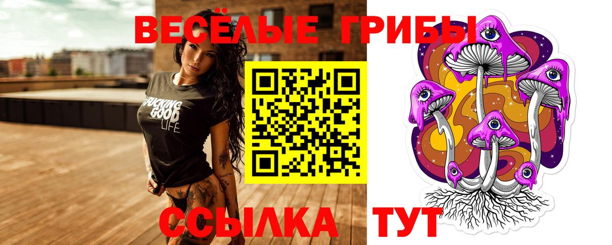 Галлюциногенные грибы Magic Shrooms Курчалой